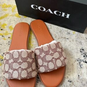 Coach Tan and Cream Signature Slide Holly Sandals